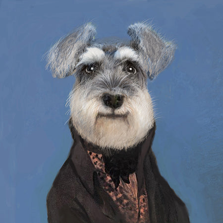 Schnauzer