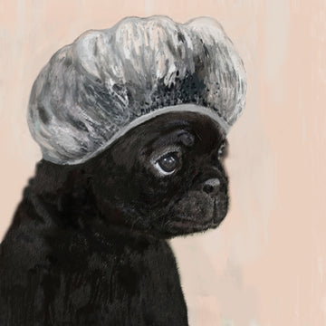 Black dog with a shower cap