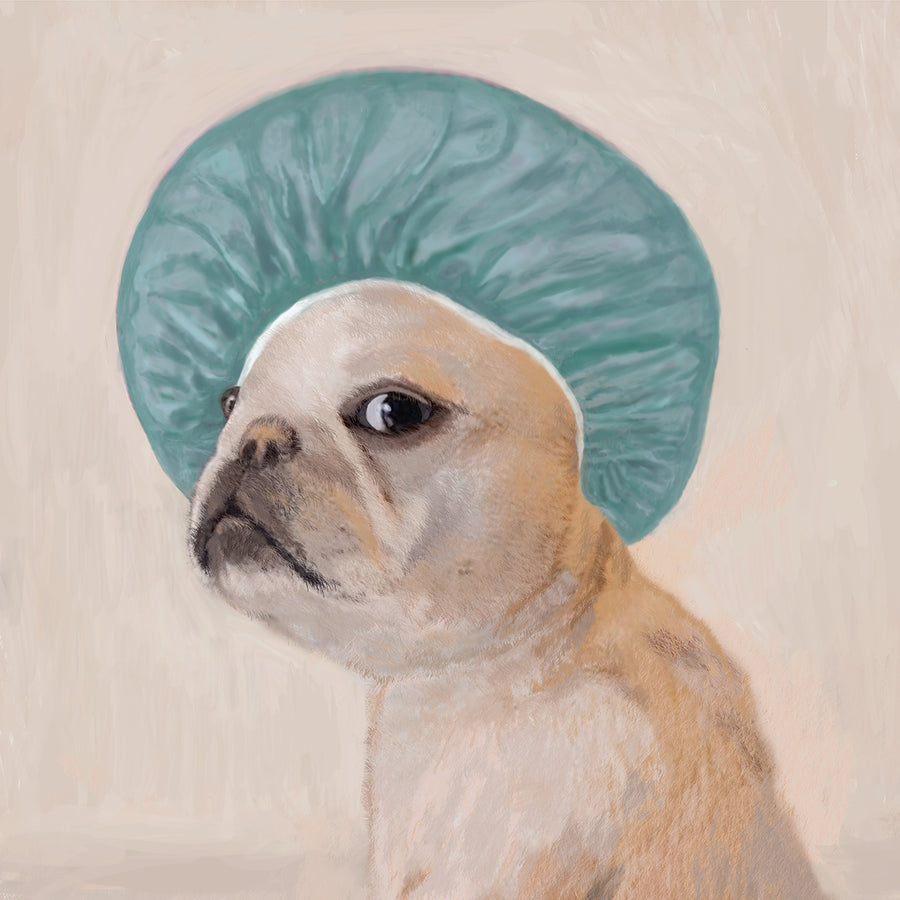 Bulldog in a shower cap