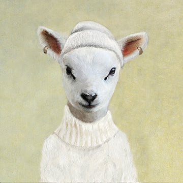 Lamb in wool